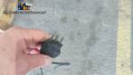 Llenadora neumtica semiautomtica de lquidos con dos boquillas