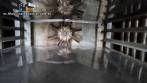 Horno/deshidratador Prime Engenharia para deshidratar frutas y verduras.