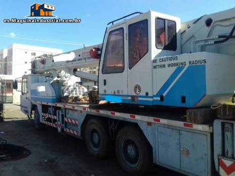 Gr�a por 30 toneladas Zoom Lion