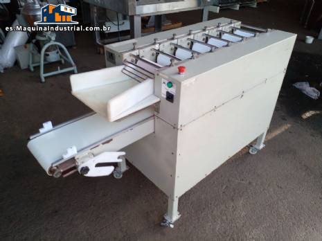 Cilindro de 7 rodillos 200 mm Braslaer Cilindro de 7 rodillos 200 mm Braslaer