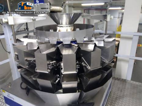 Envasadora vertical multicabezal Masipack Envasadora vertical multicabezal Masipack